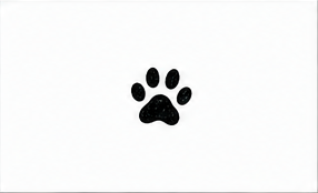 Paw Print