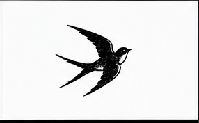 Swallow