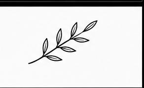 Olive Branch